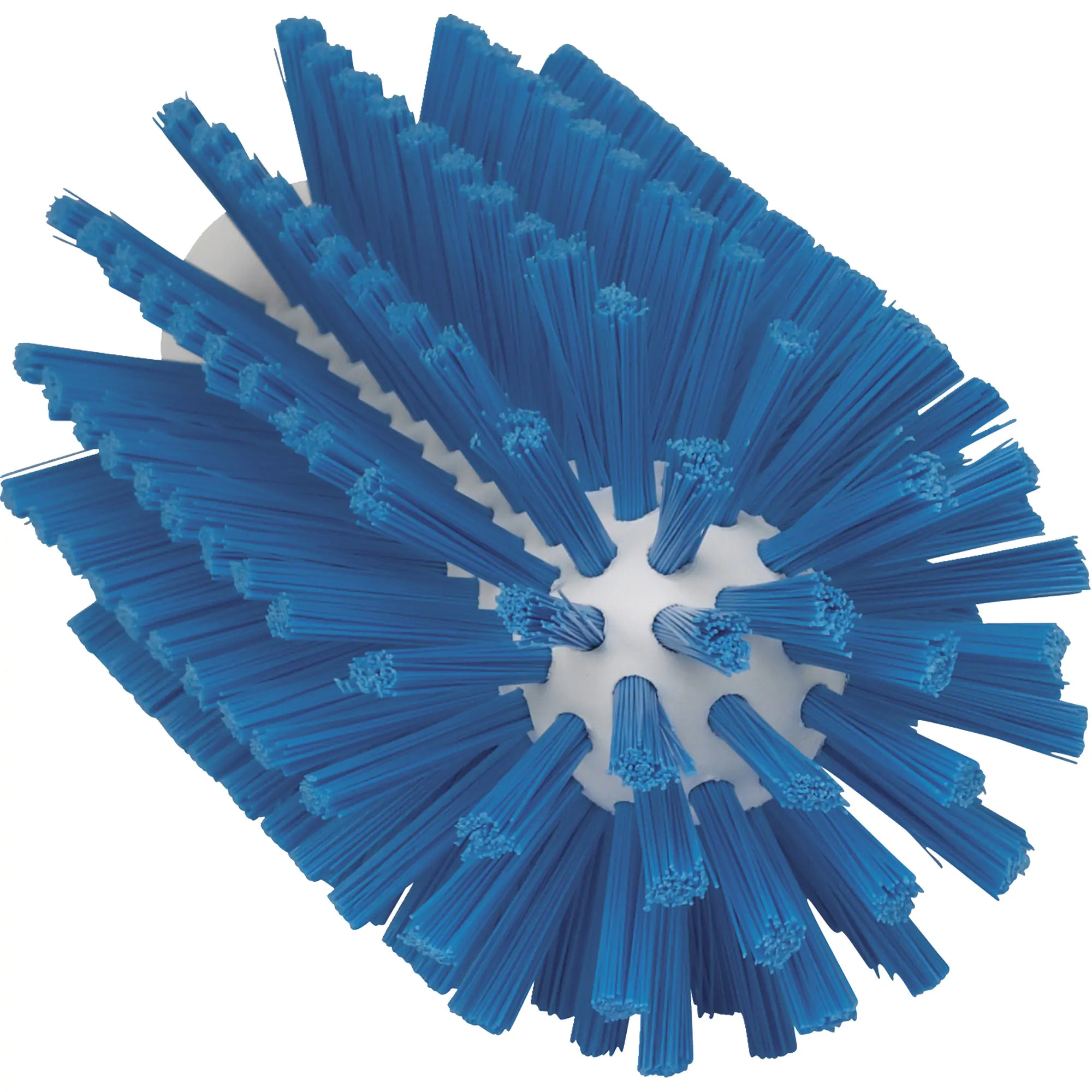 Food Hygiene Brush, Medium Bristles, 6" Long